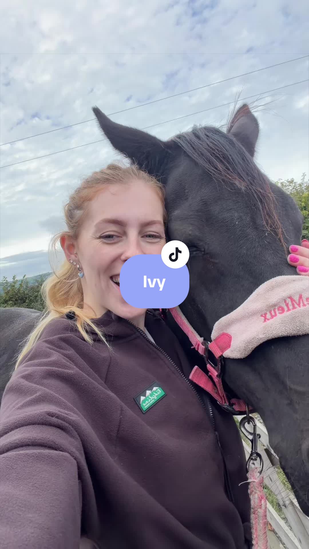 @Lily