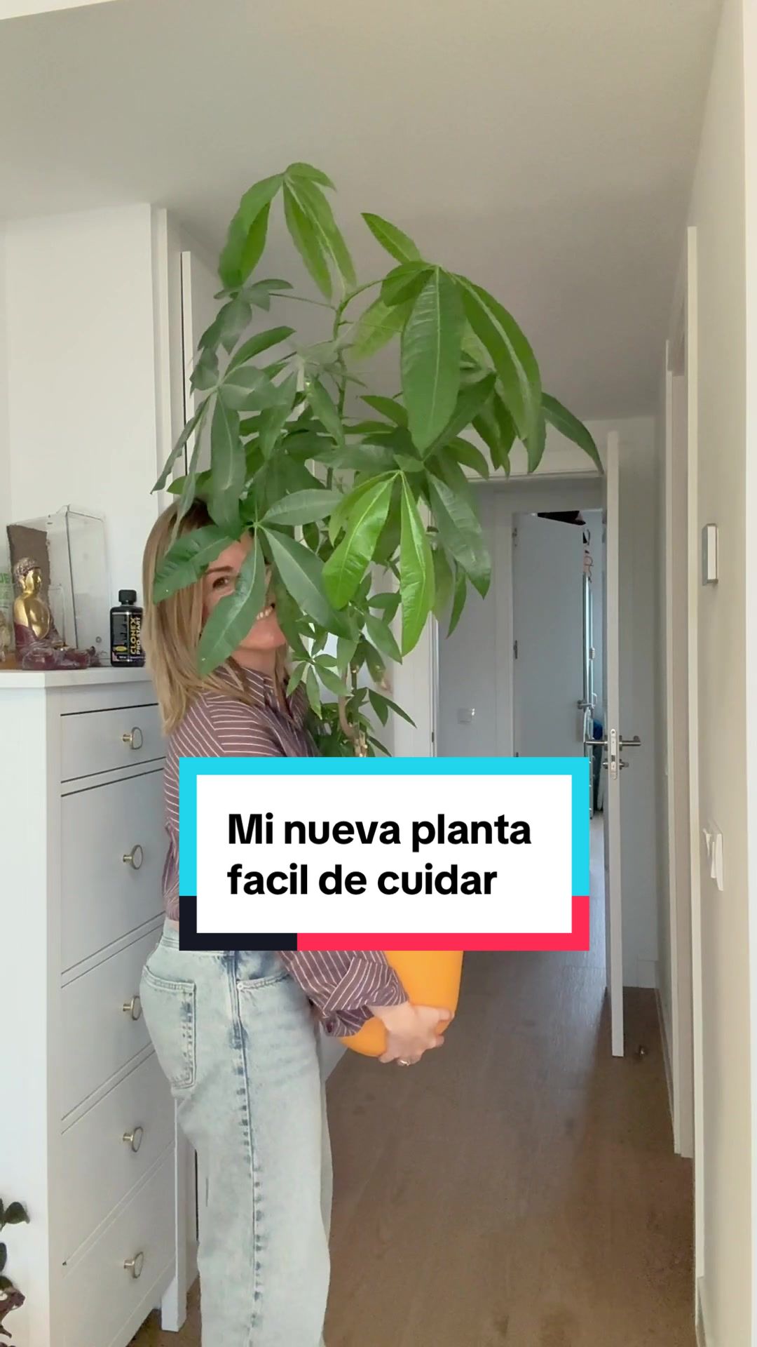 @🌱 En Abril Hojas Mil 🌱
