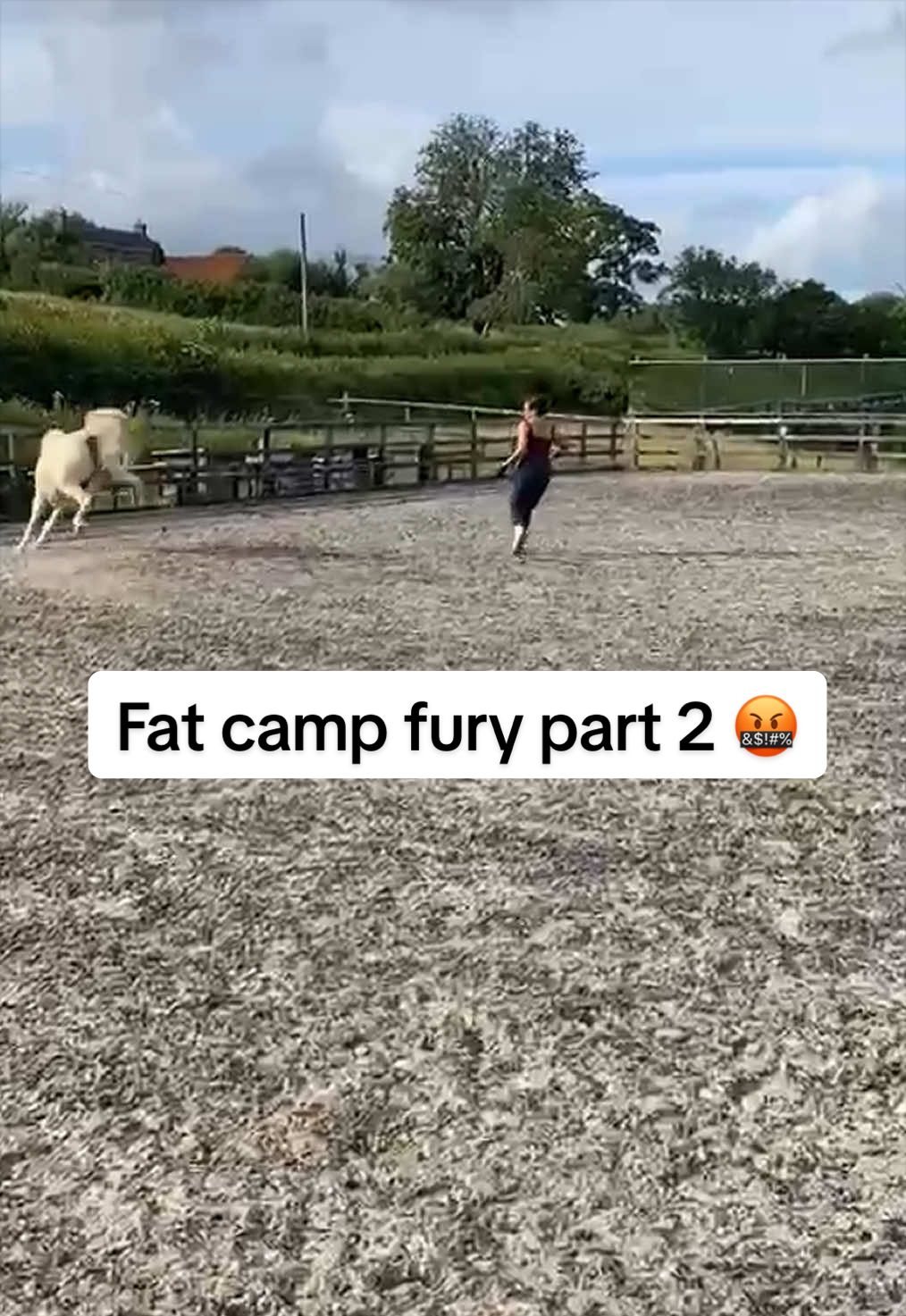 @jodiehenley
