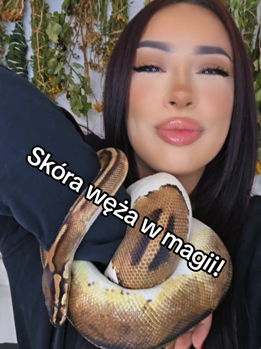 @𝔖𝔩𝔞𝔳𝔦𝔠 𝔏𝔦𝔩𝔦𝔱𝔥