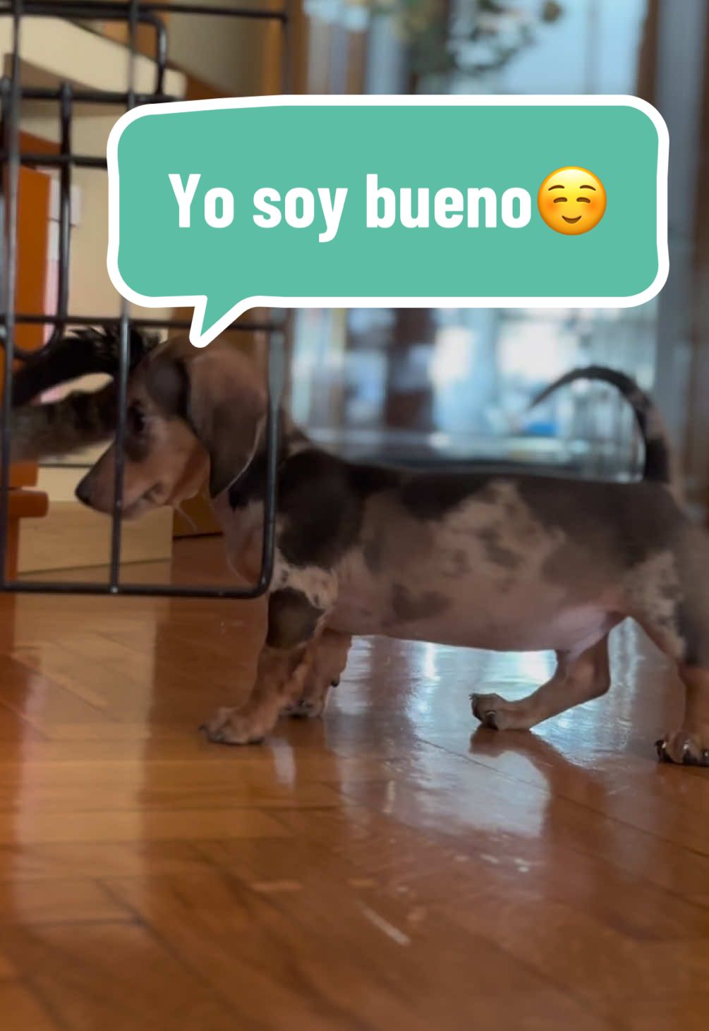 @PANCHO🌭