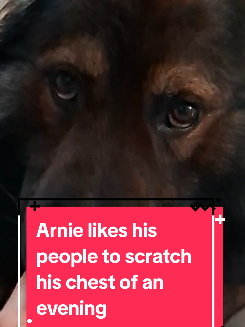 @Arnie 🇪🇺