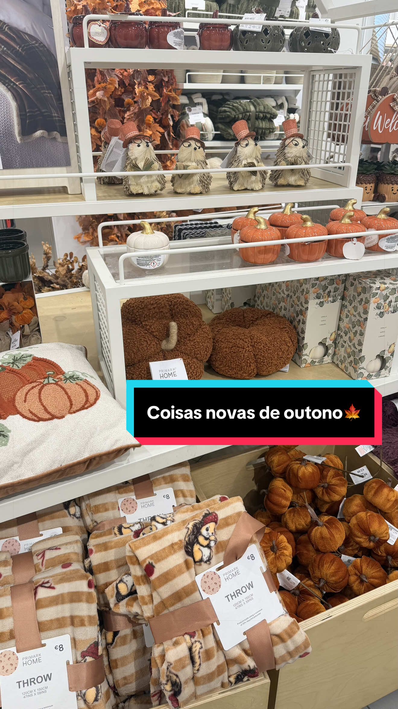 @Inês Vilhalva