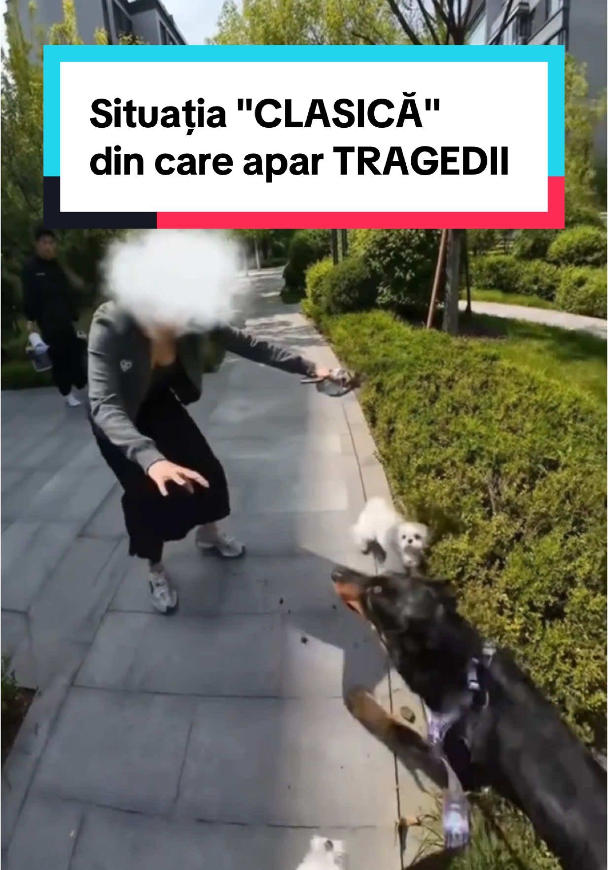 @Tudor-Tim Ionescu