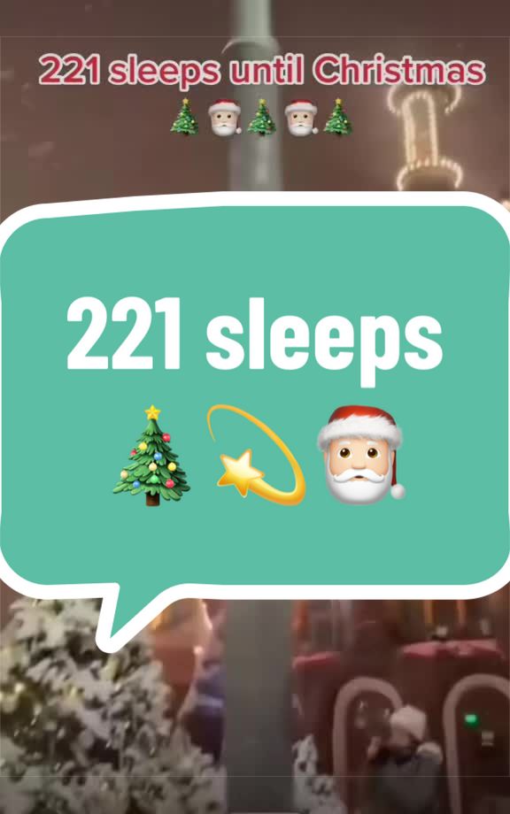 @Christmas&DisneyCrazyLady
