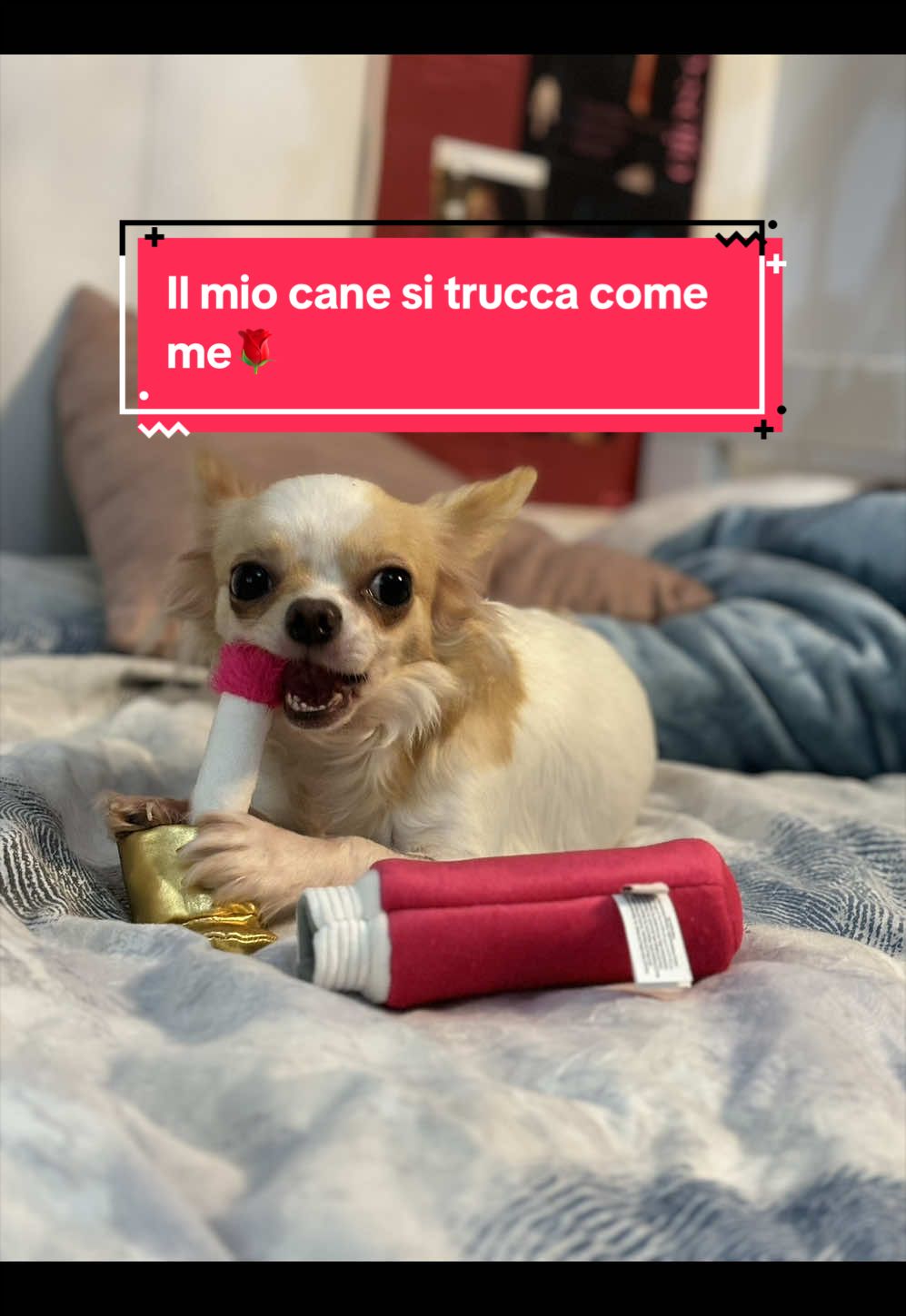 @Francy26