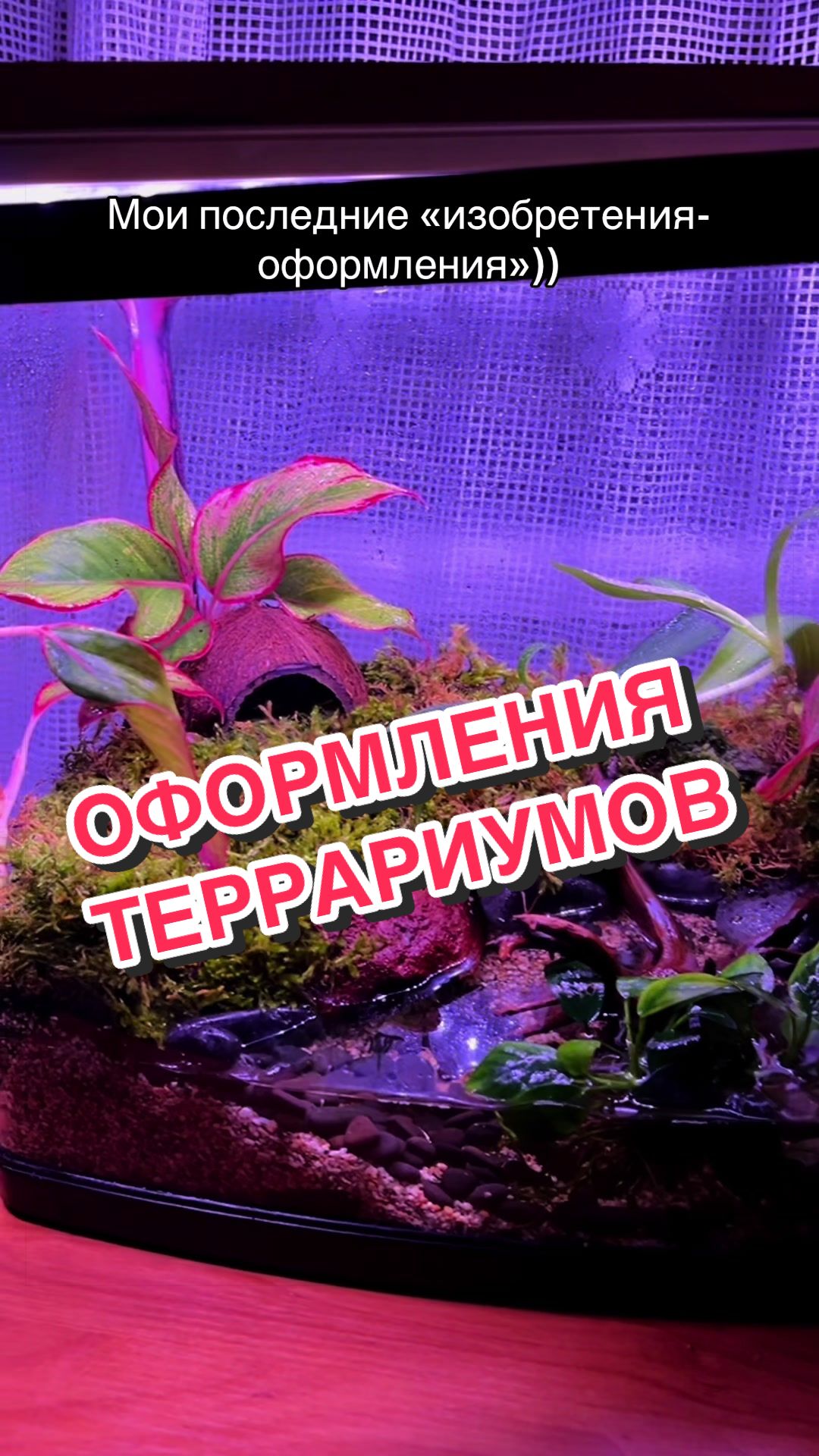 @🦎❤️Геля и питомцы❤️🦎