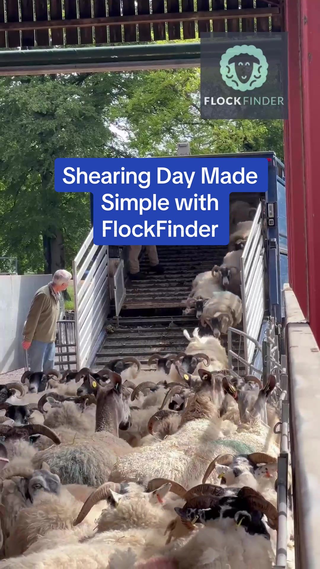 @FlockFinder