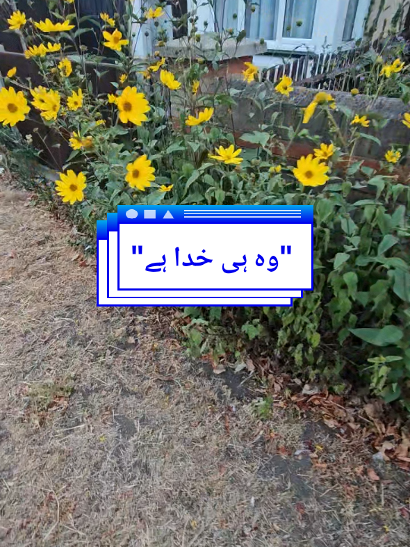 @MFk