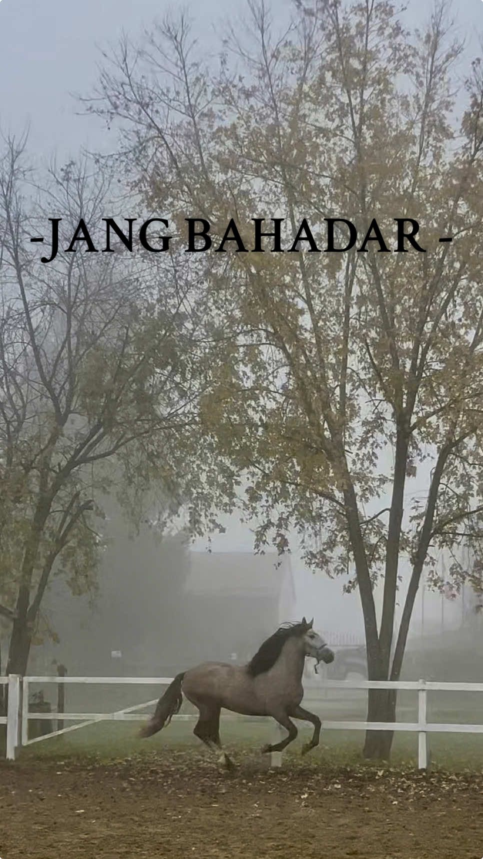 @Jorawar singh