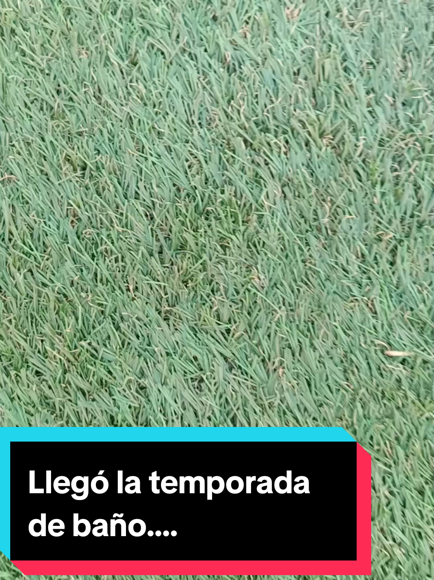 @Sergio Manuel Prados