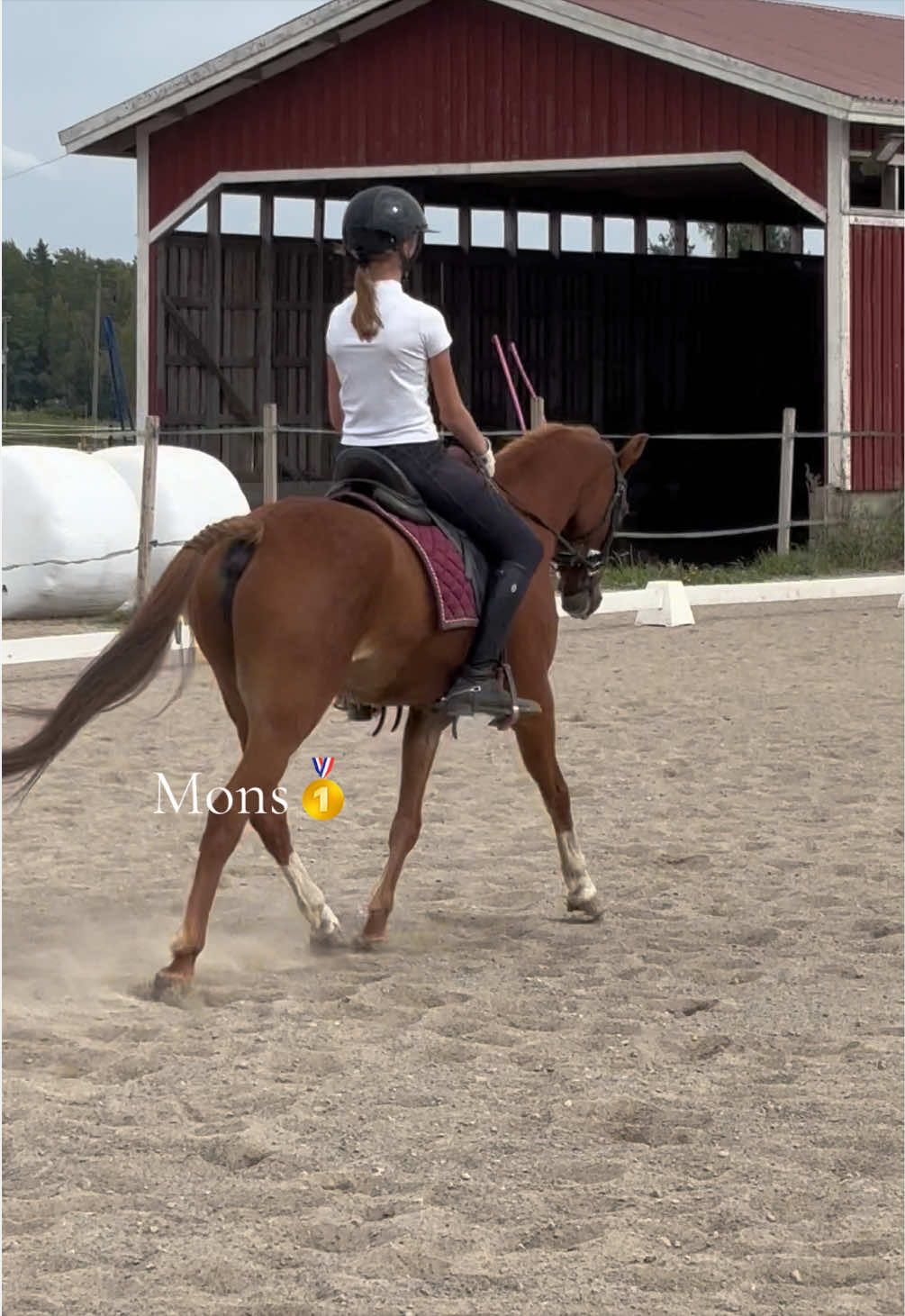 @Equestrian_tiiaa