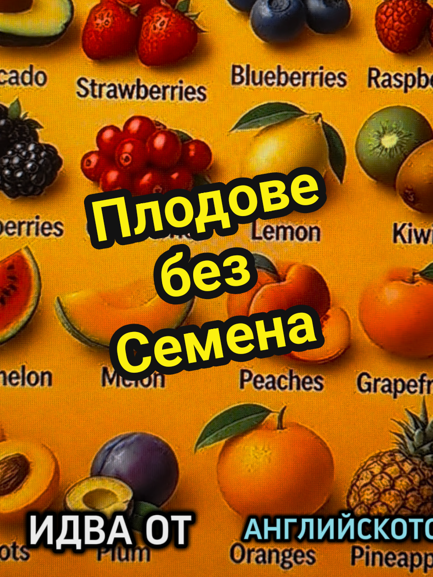 @Valentin B Naumov