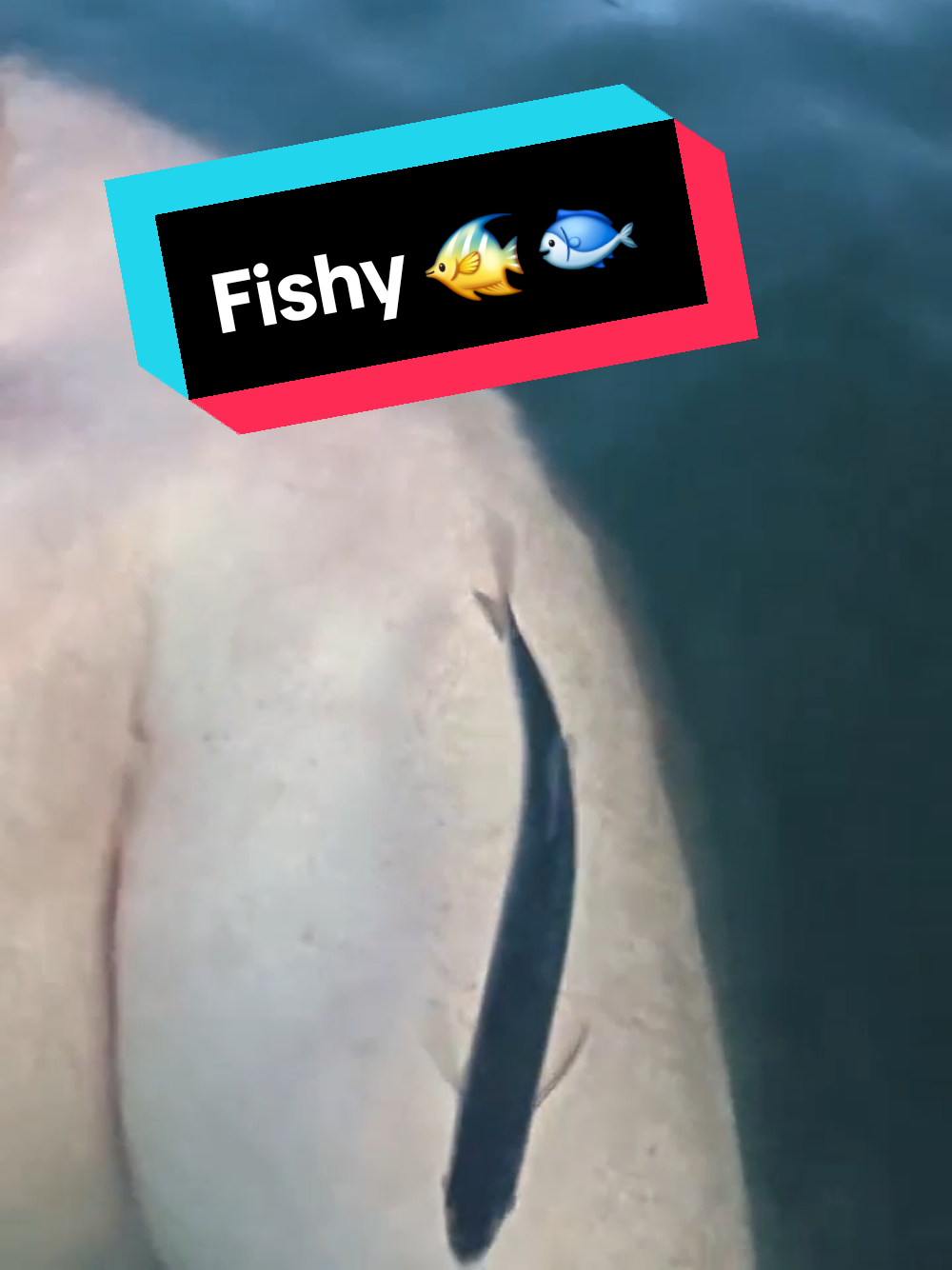 @Erik Fellman