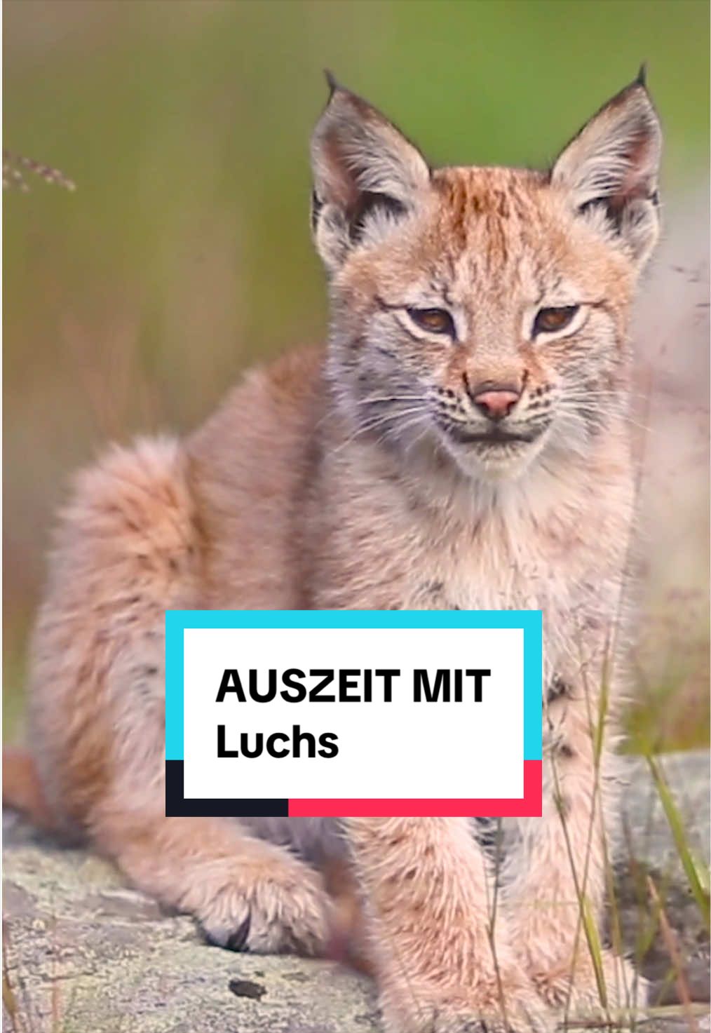 @WWF Schweiz