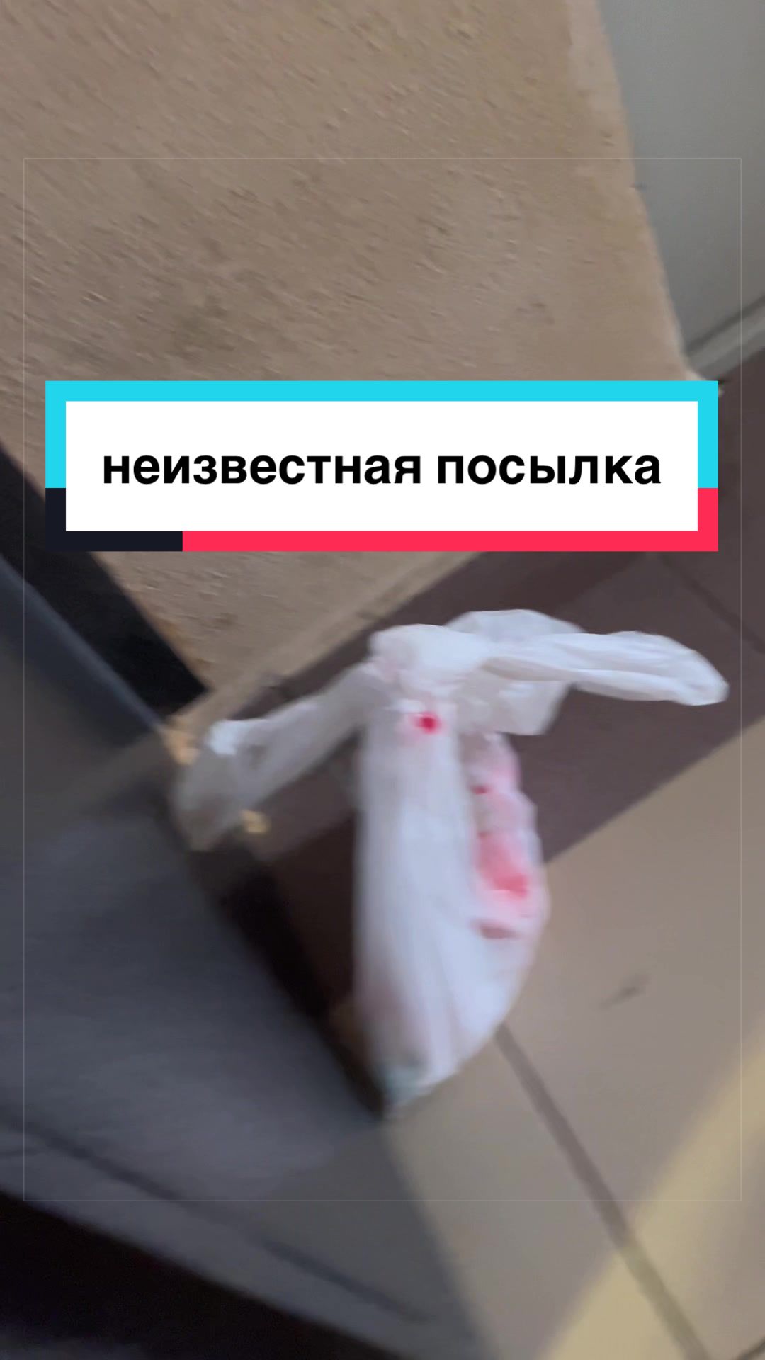 @pingu