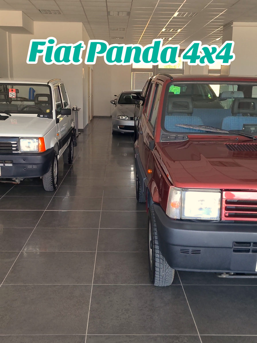 @Ercoli Auto