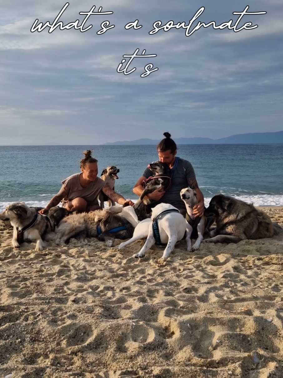 @Handicap.dogs.on.tour.
