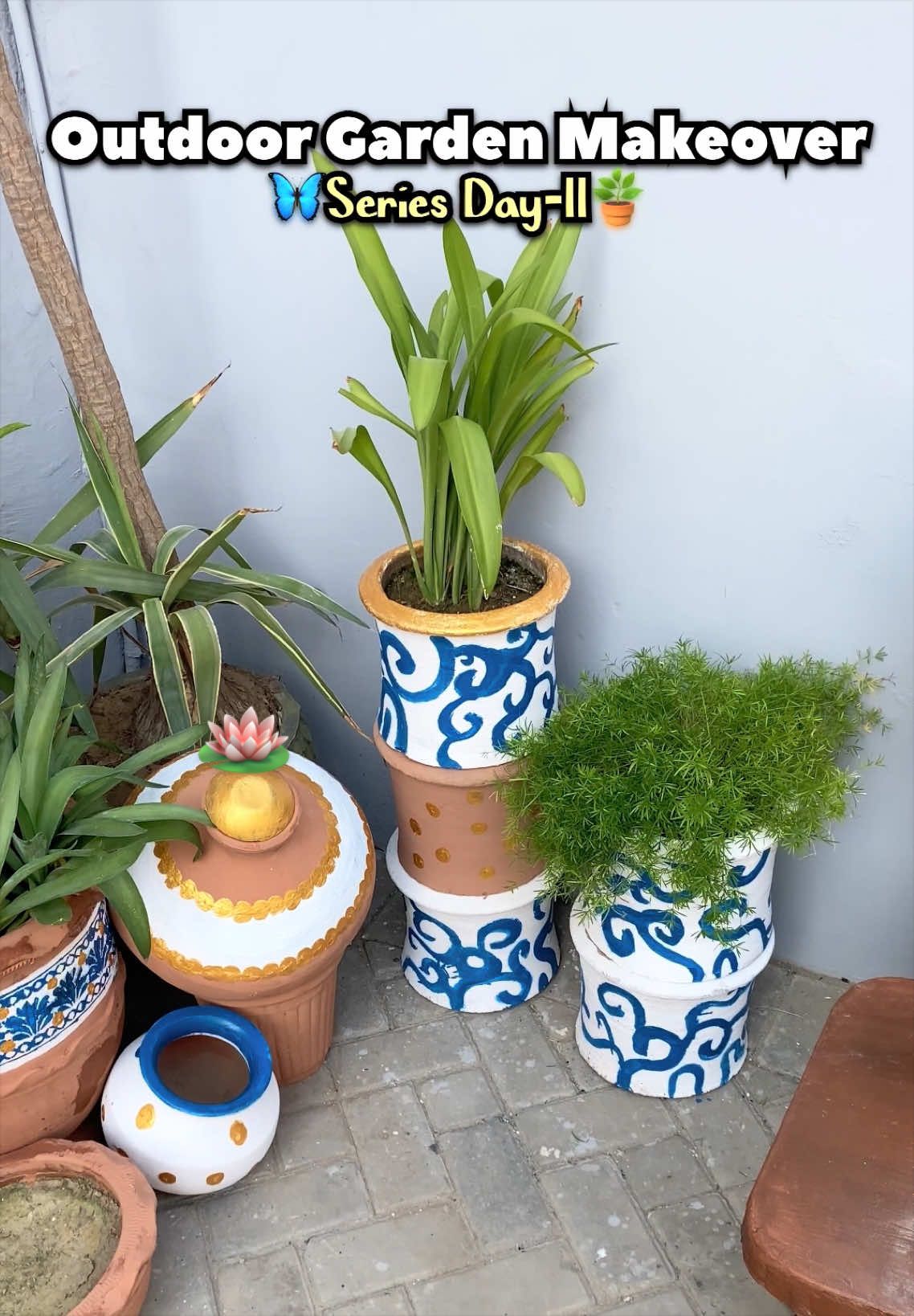 @Plantwithmomin