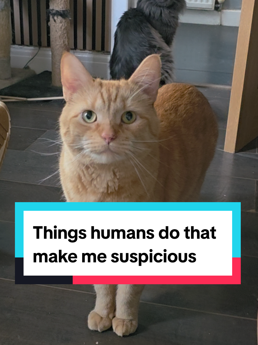 @Paws and Claws