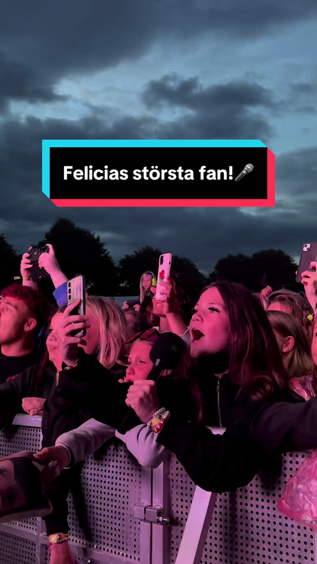 @Alive Festival