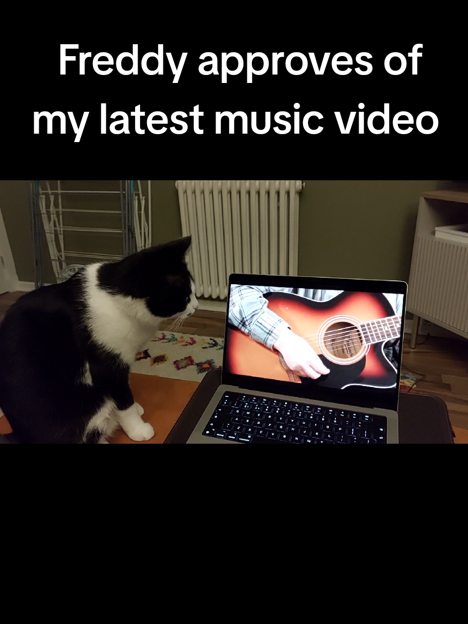@kvtrinamusic