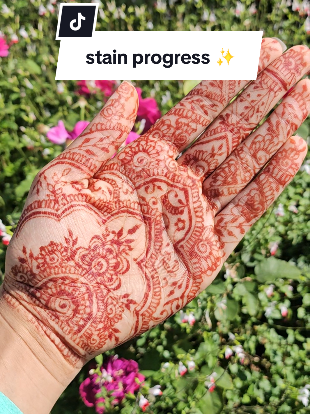 @Palm and Pattern