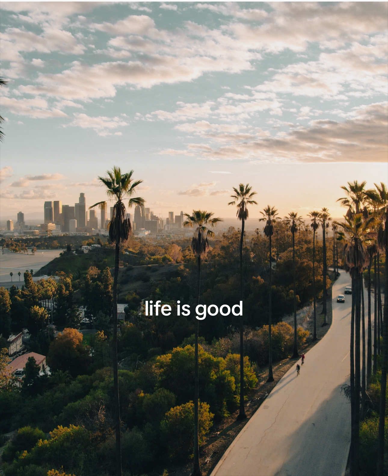@m0dlife