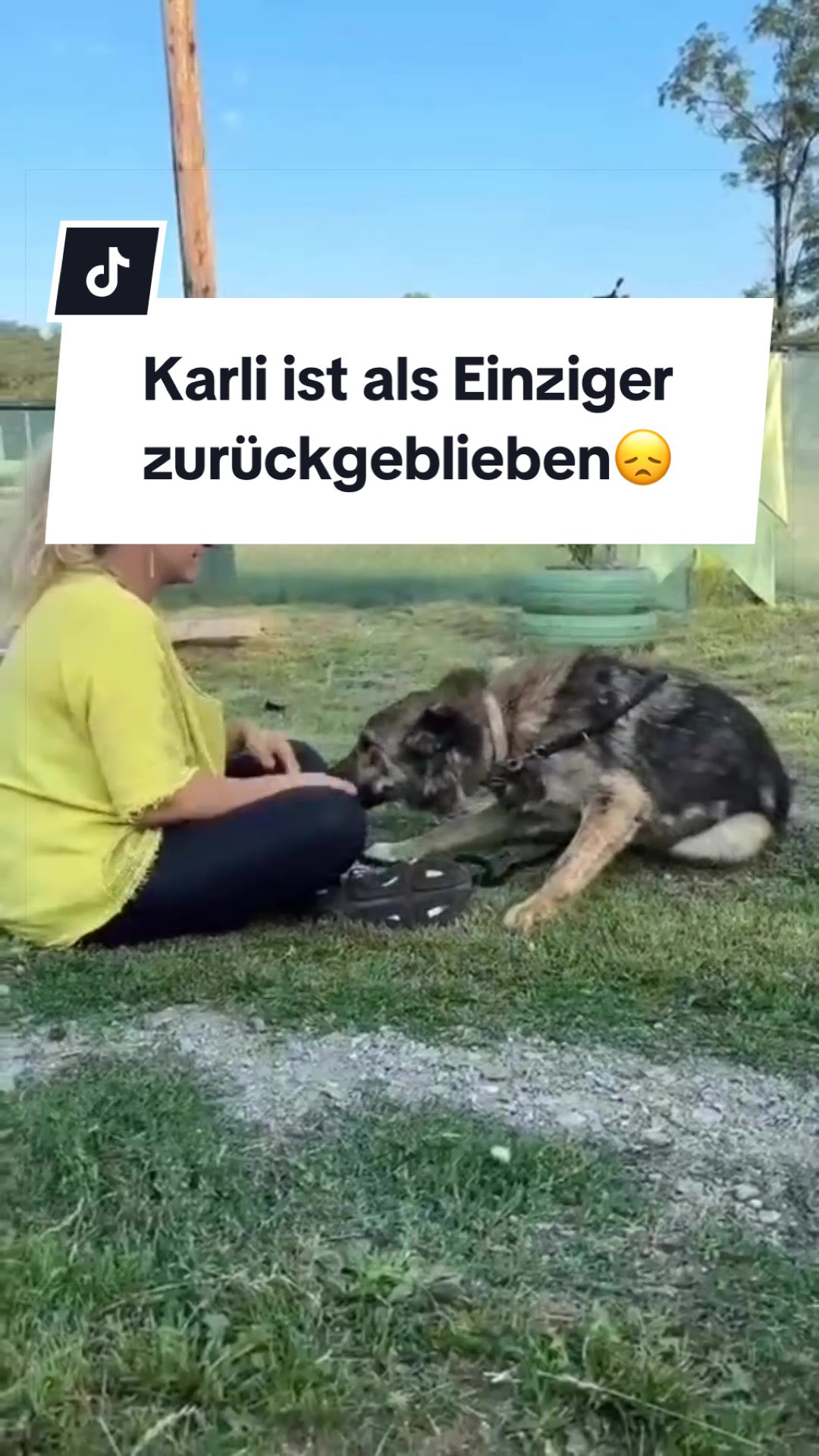 @Ein Herz für Streuner e.V.