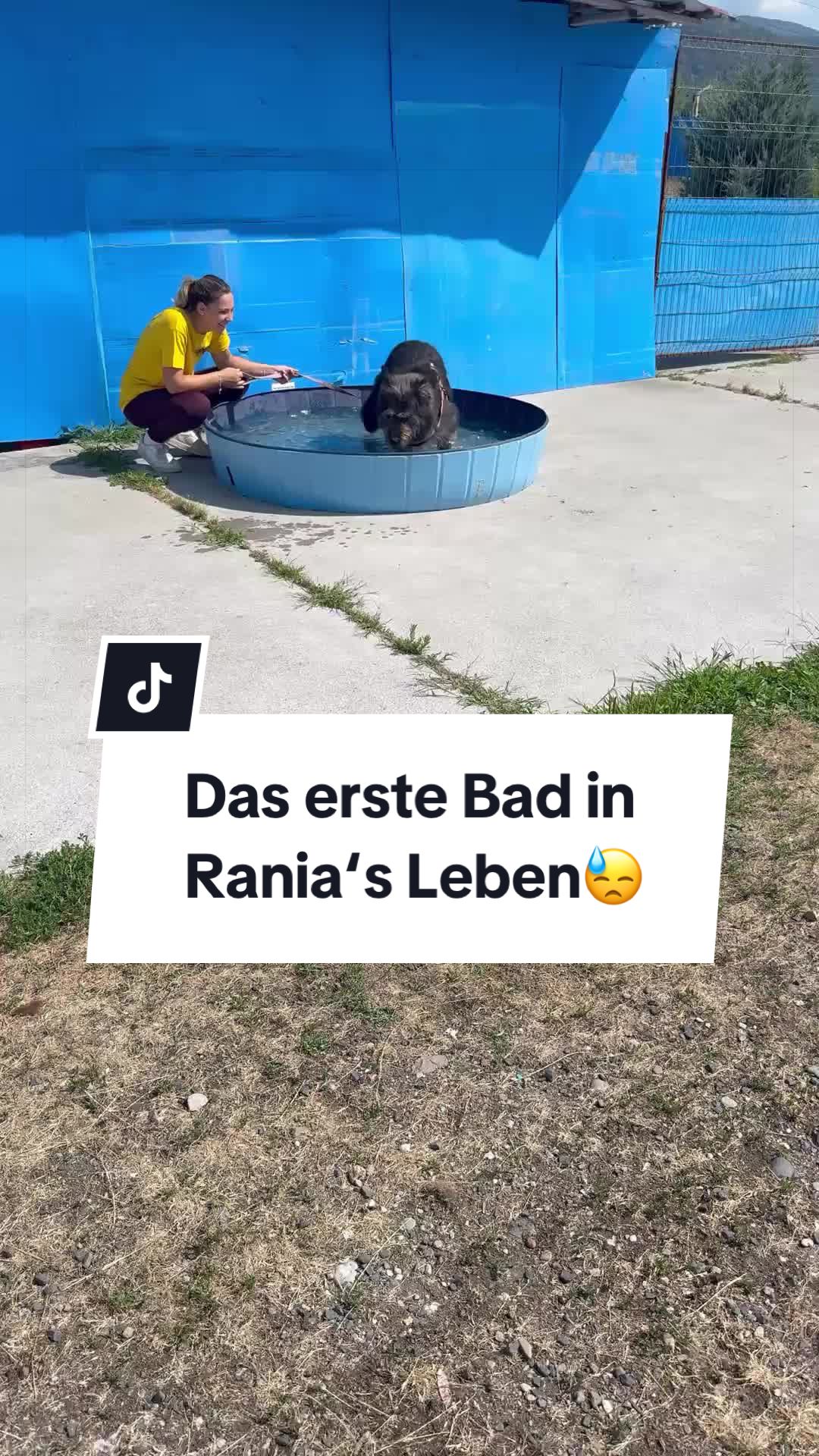 @Ein Herz für Streuner e.V.