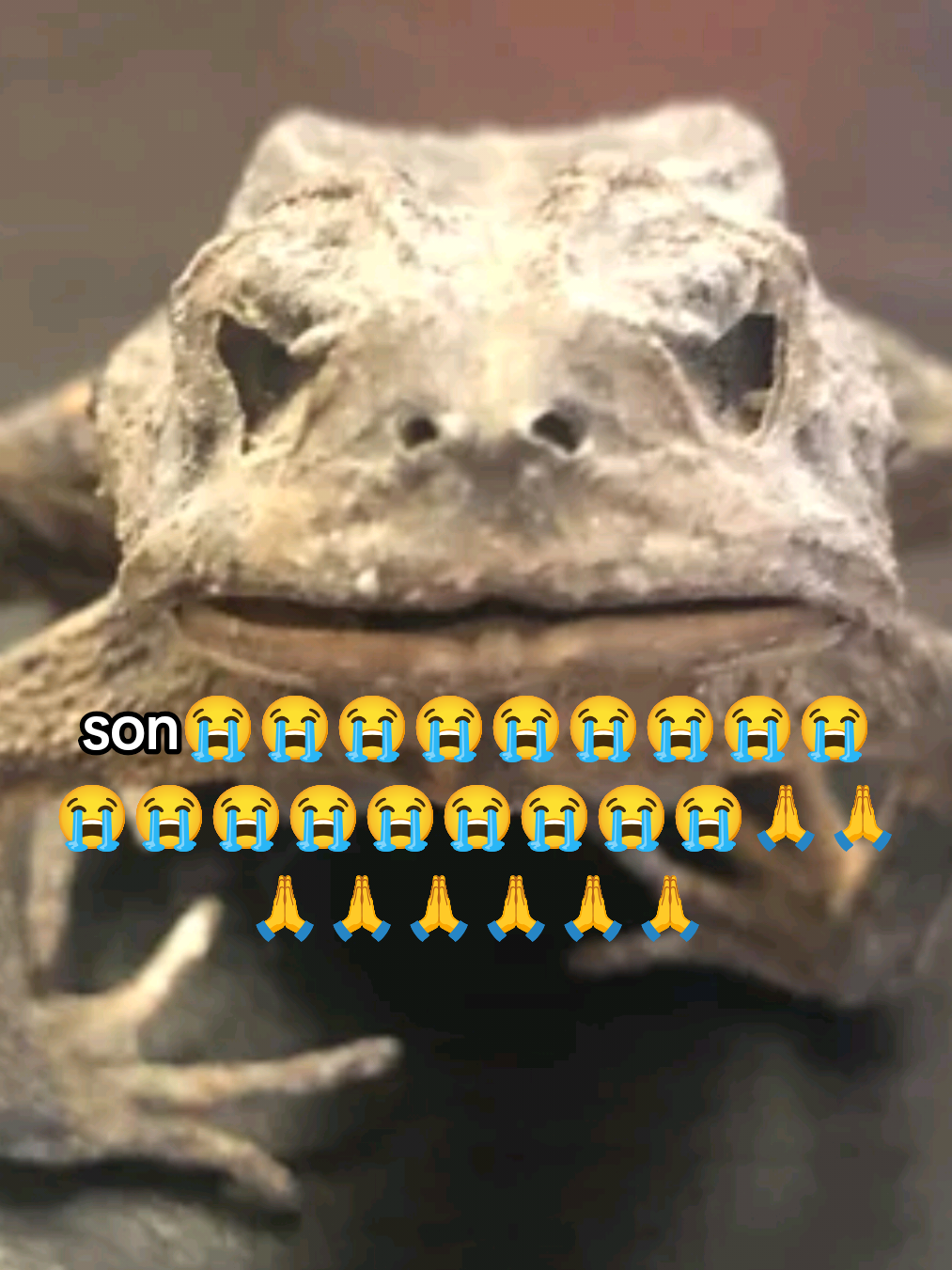@bss_ong
