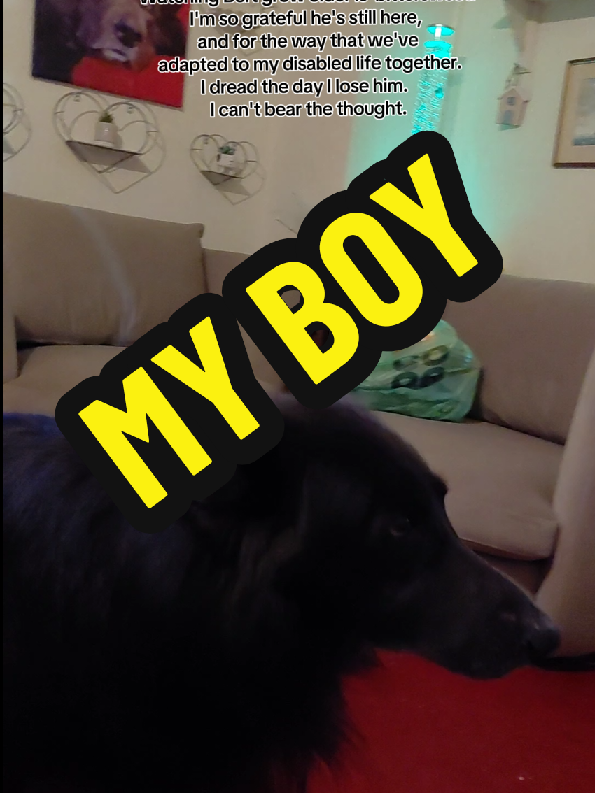@BERTIEBOOPS & CO