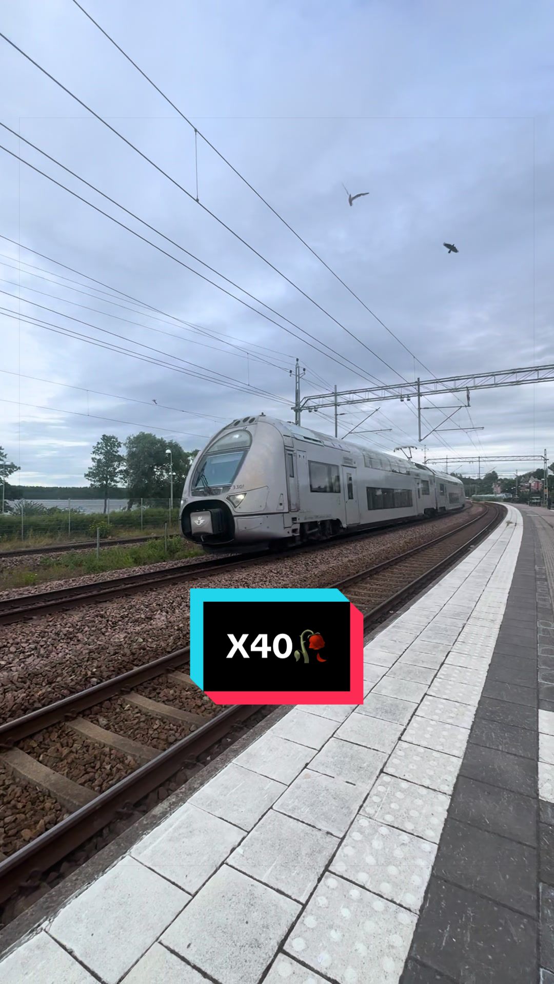 @đžThe Swedish Trainspotterđž