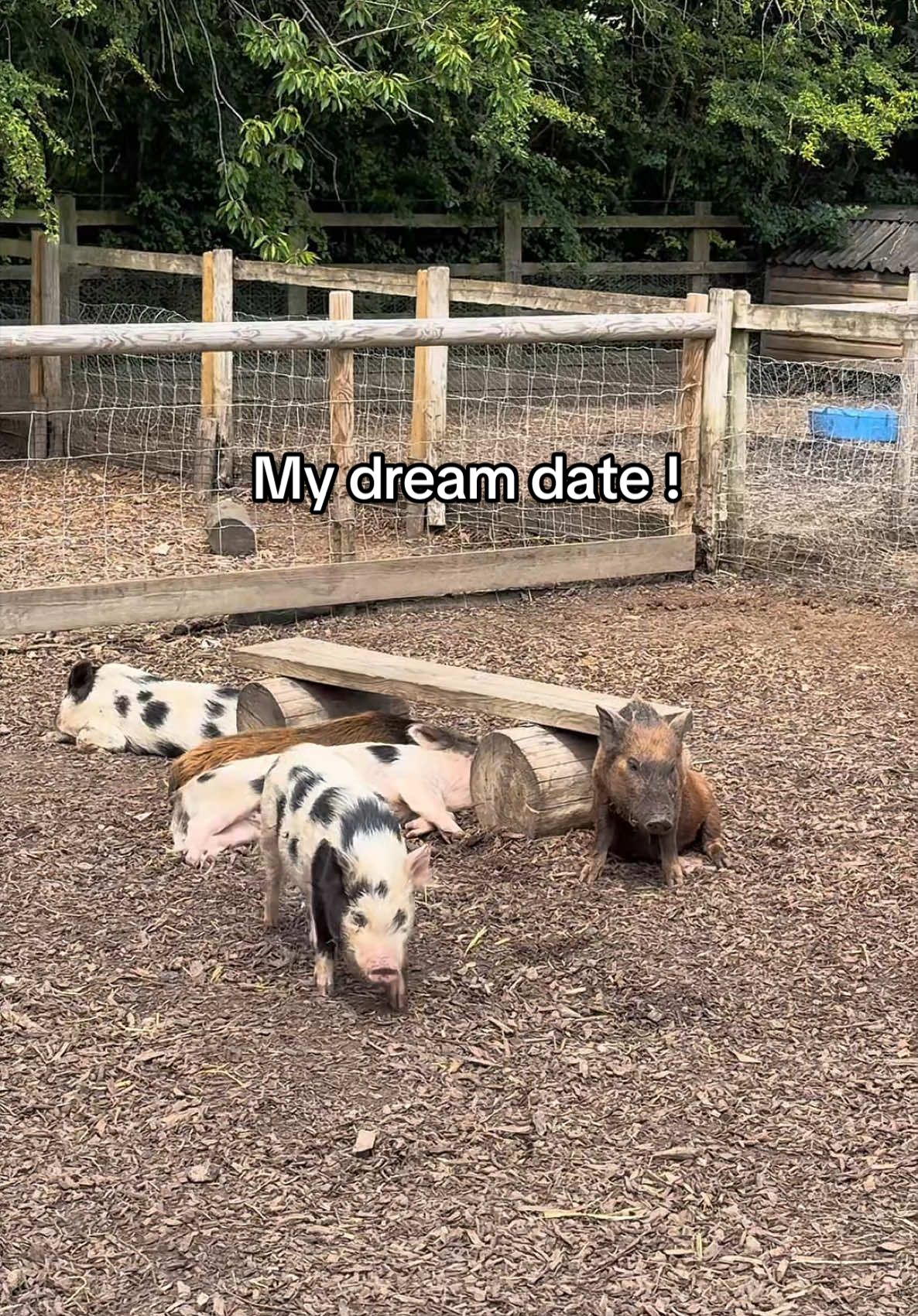 @rae.jpeg