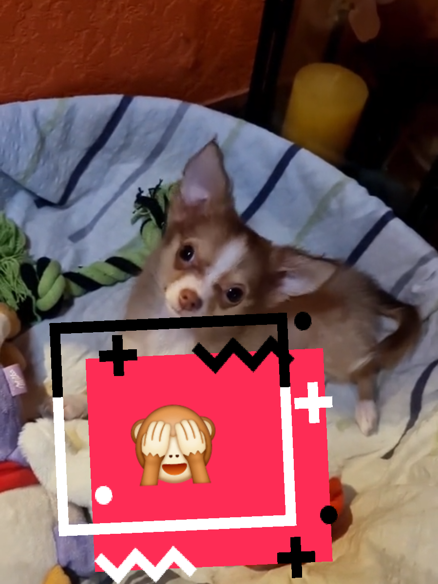 @ƬHΣ.ƁLΔCƘ.ΜƱFFI∏84