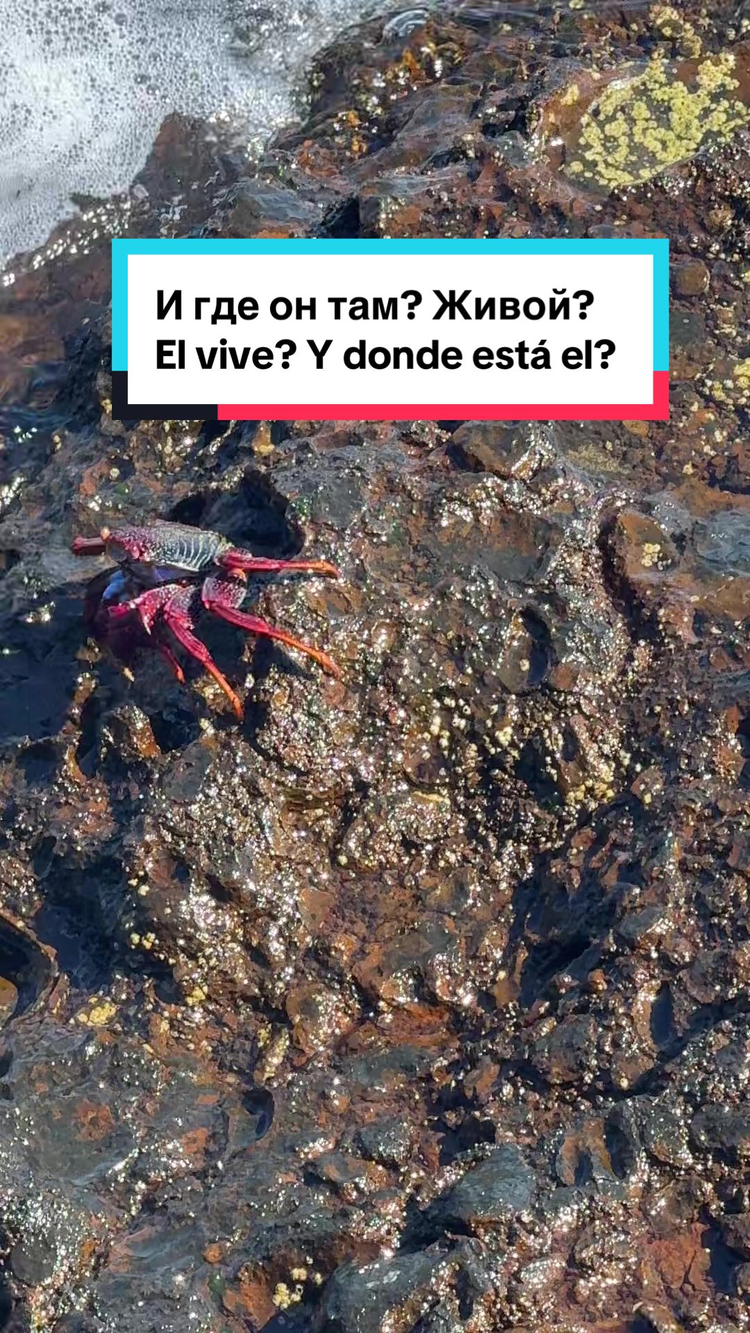 @Elena Maks