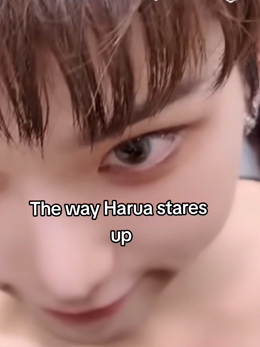 @haruaruh (&TV)