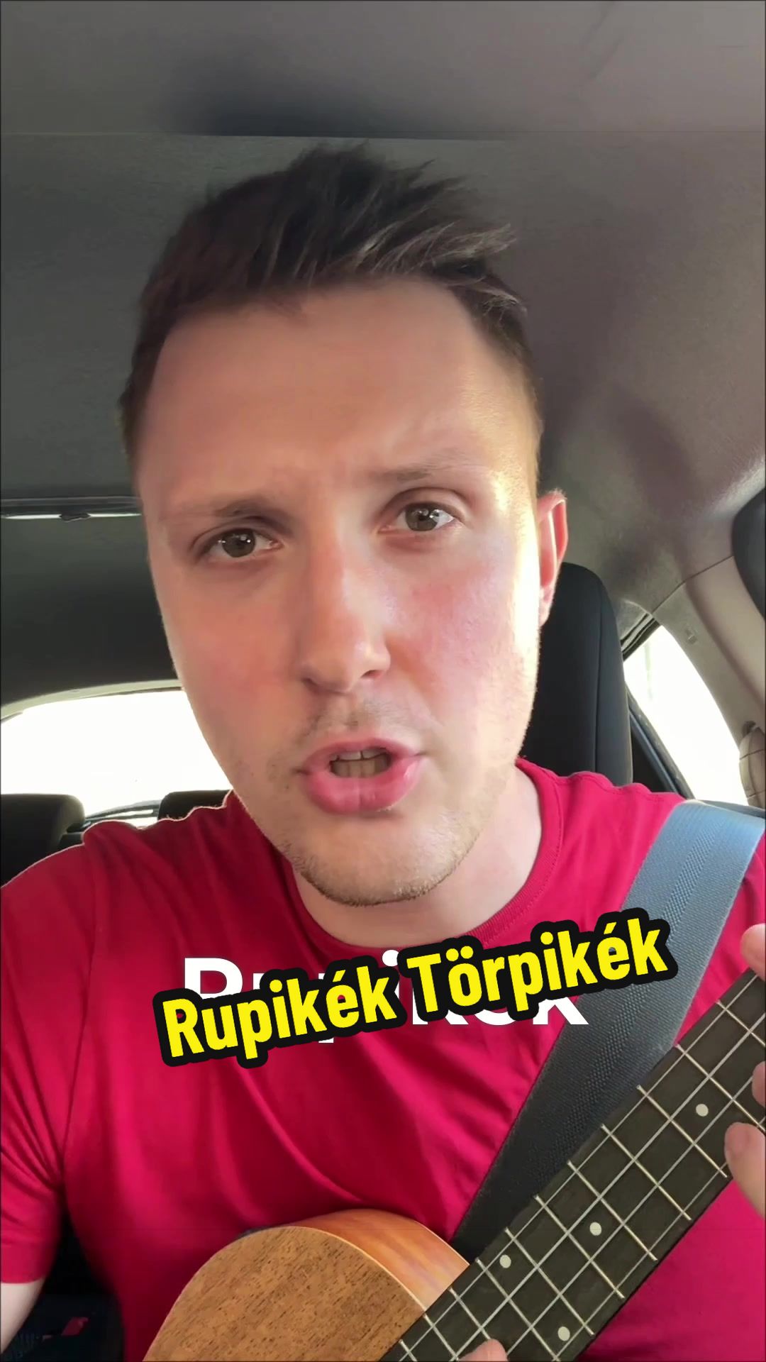 @Pál Péter