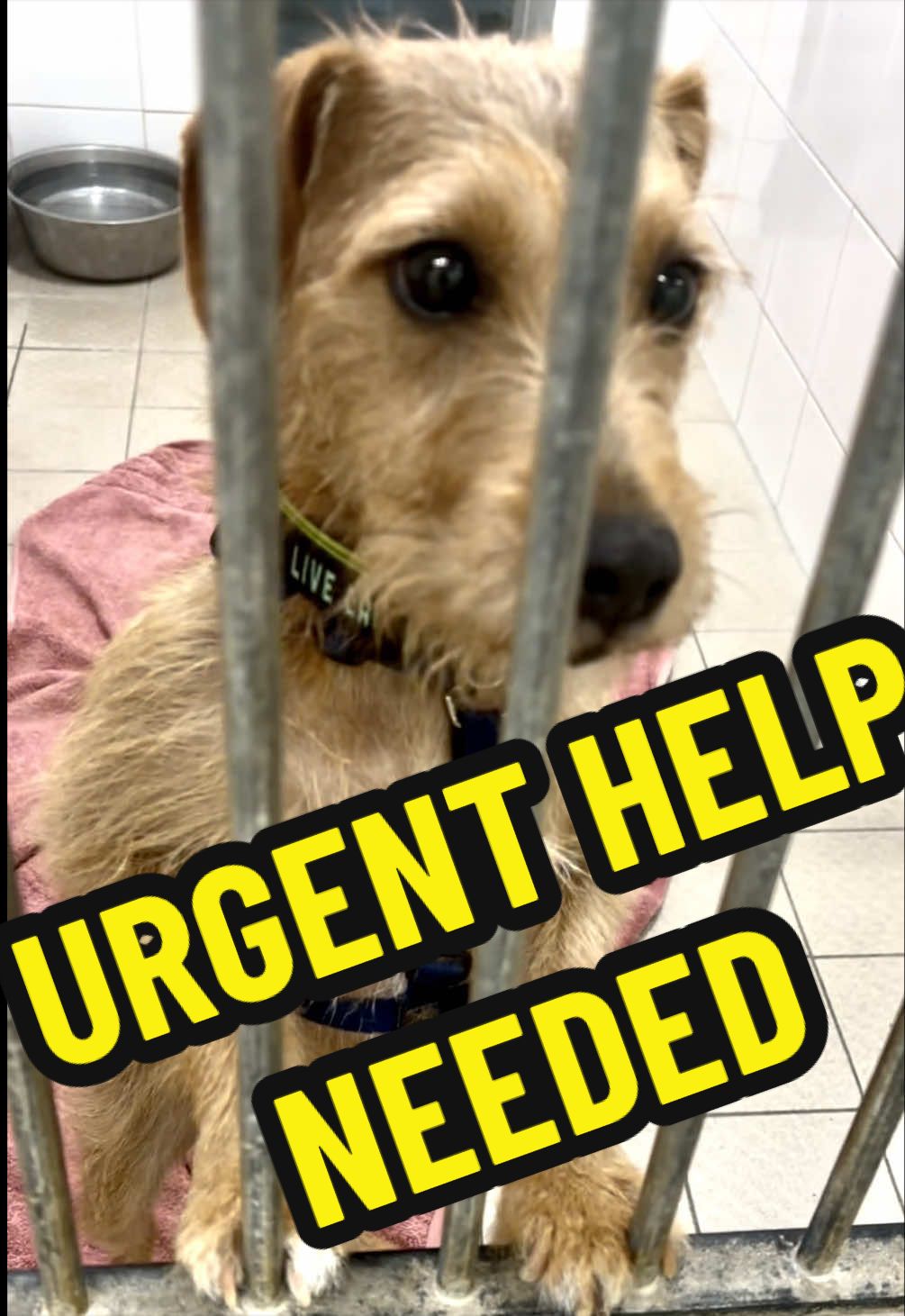 @RSPCA brighton
