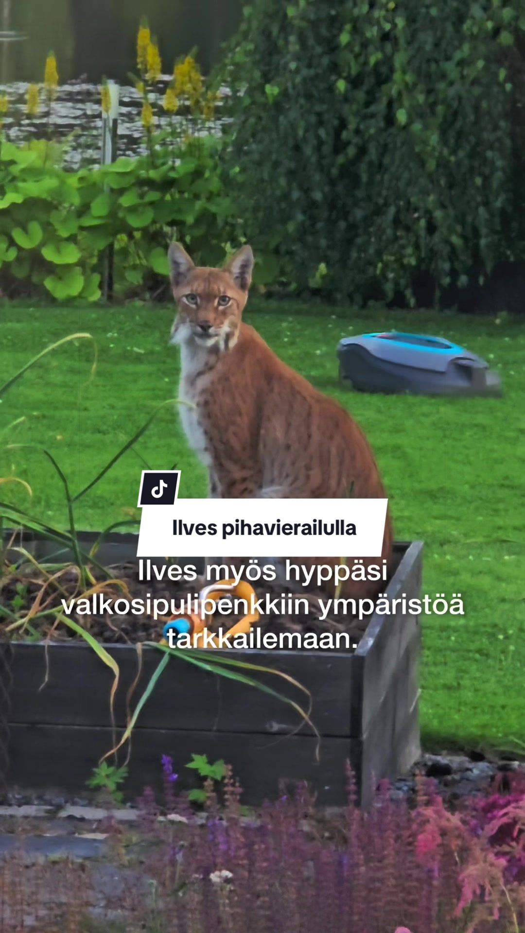 @Sanomalehti Karjalainen