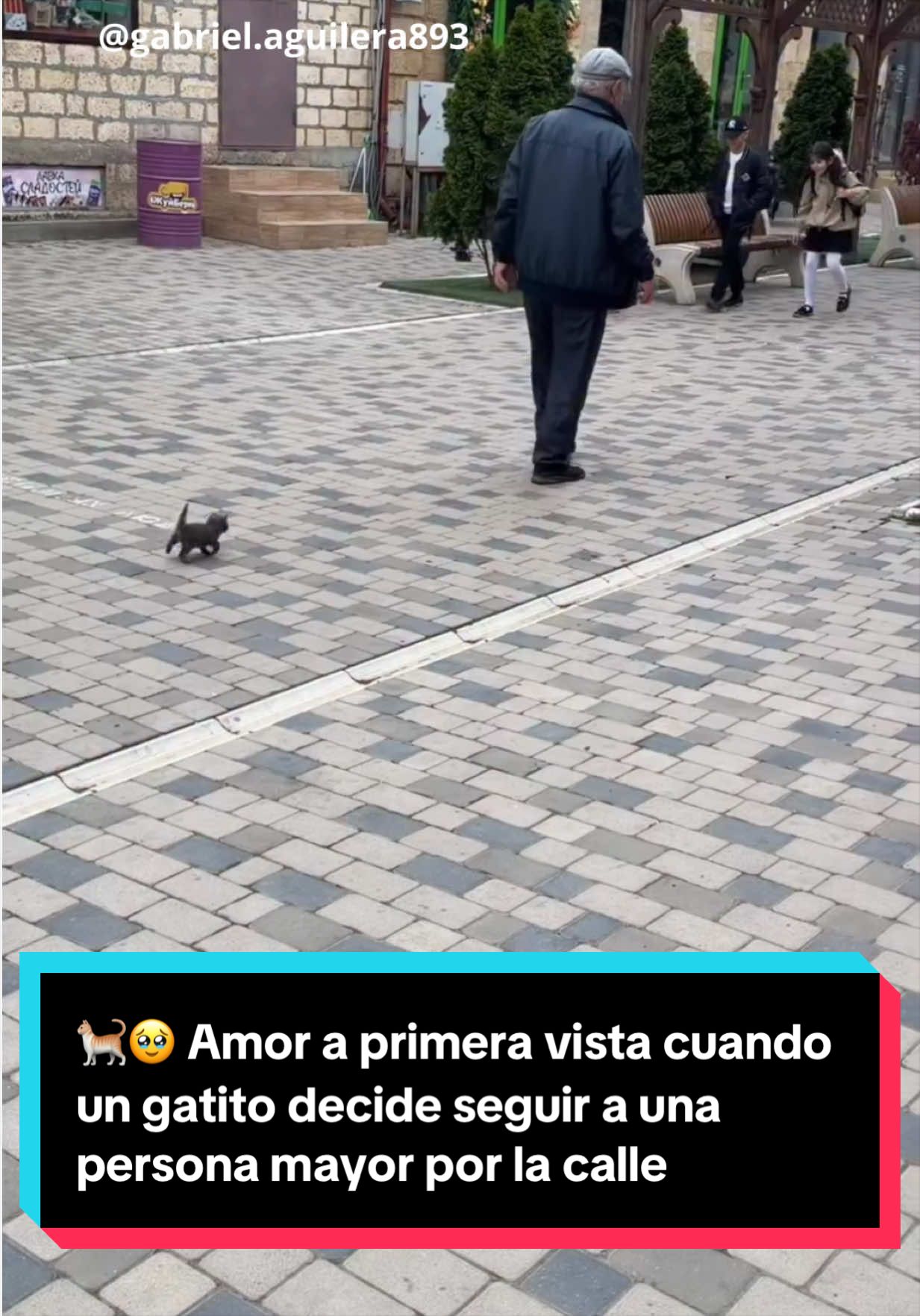 @EL ESPA&Ntilde;OL 🦁