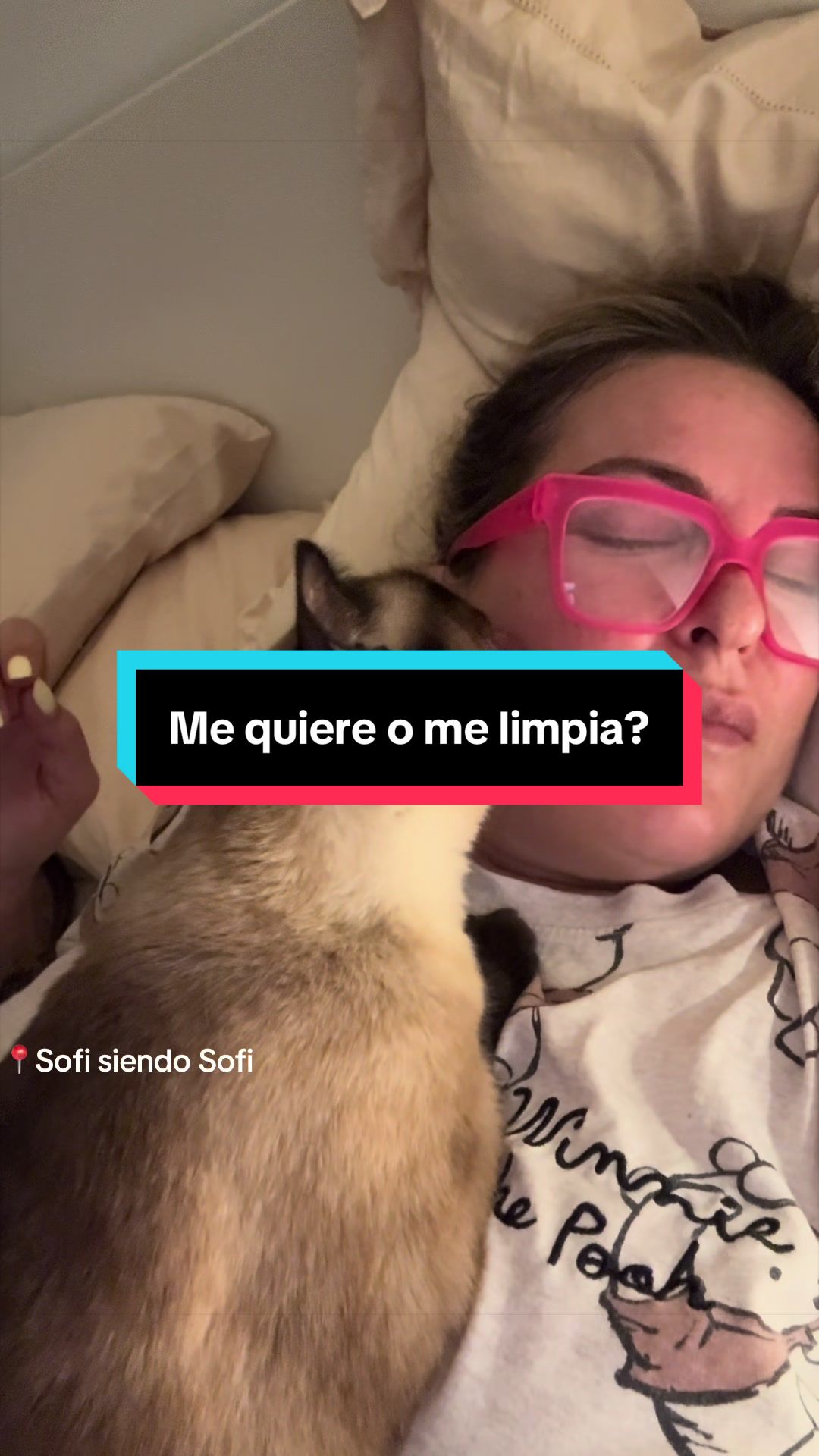 @Sofiaperestelo