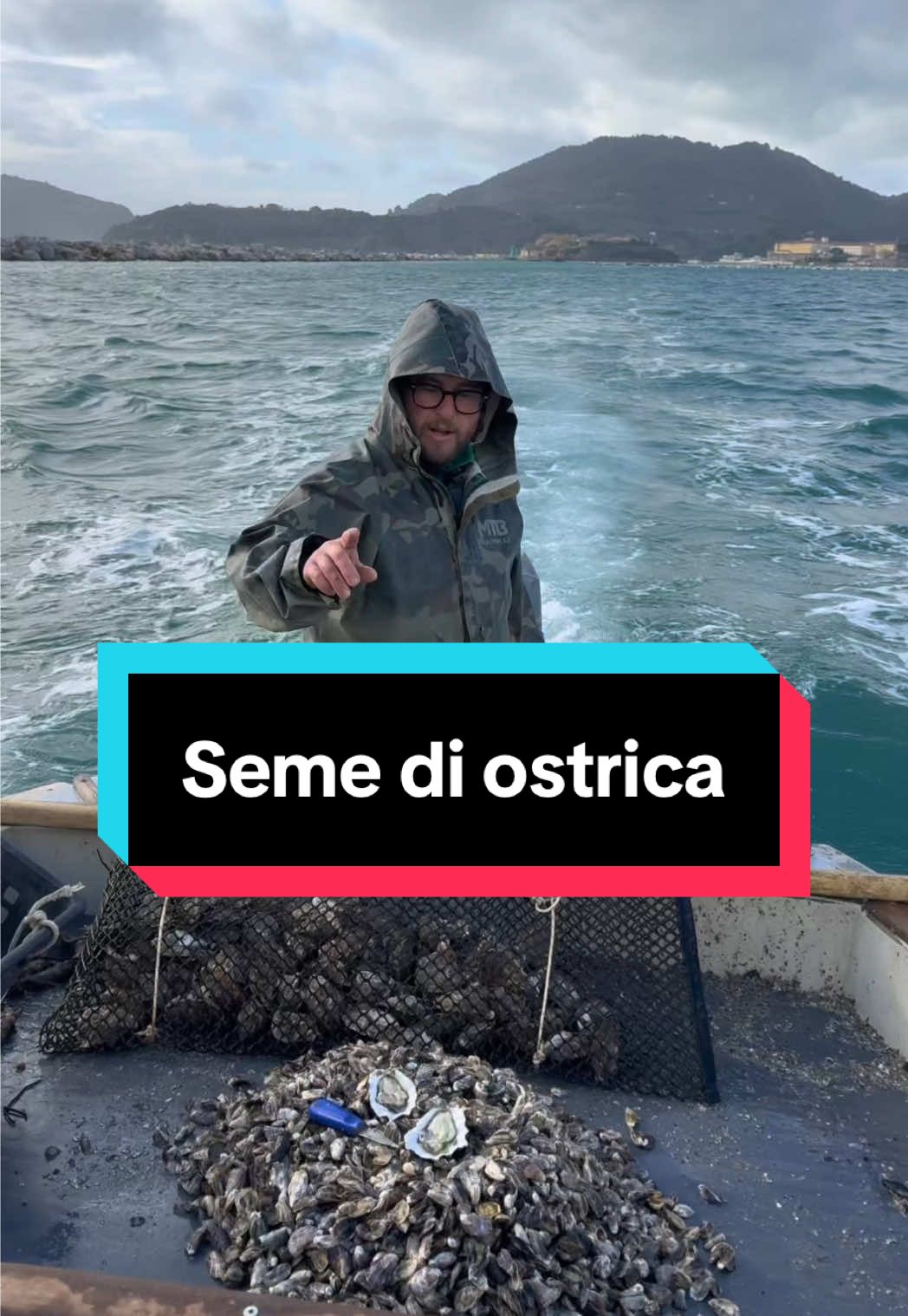 @Mitili&Mitili