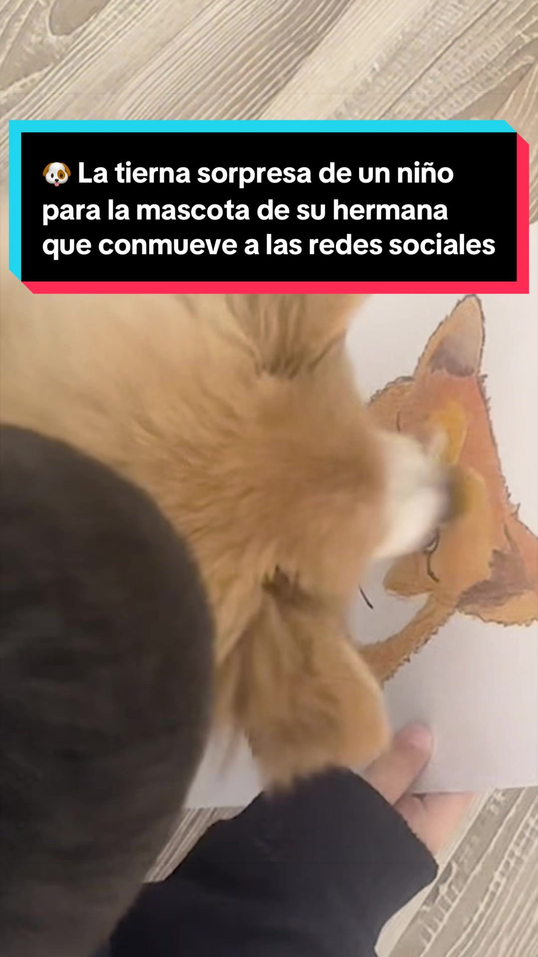 @EL ESPAÑOL 🦁