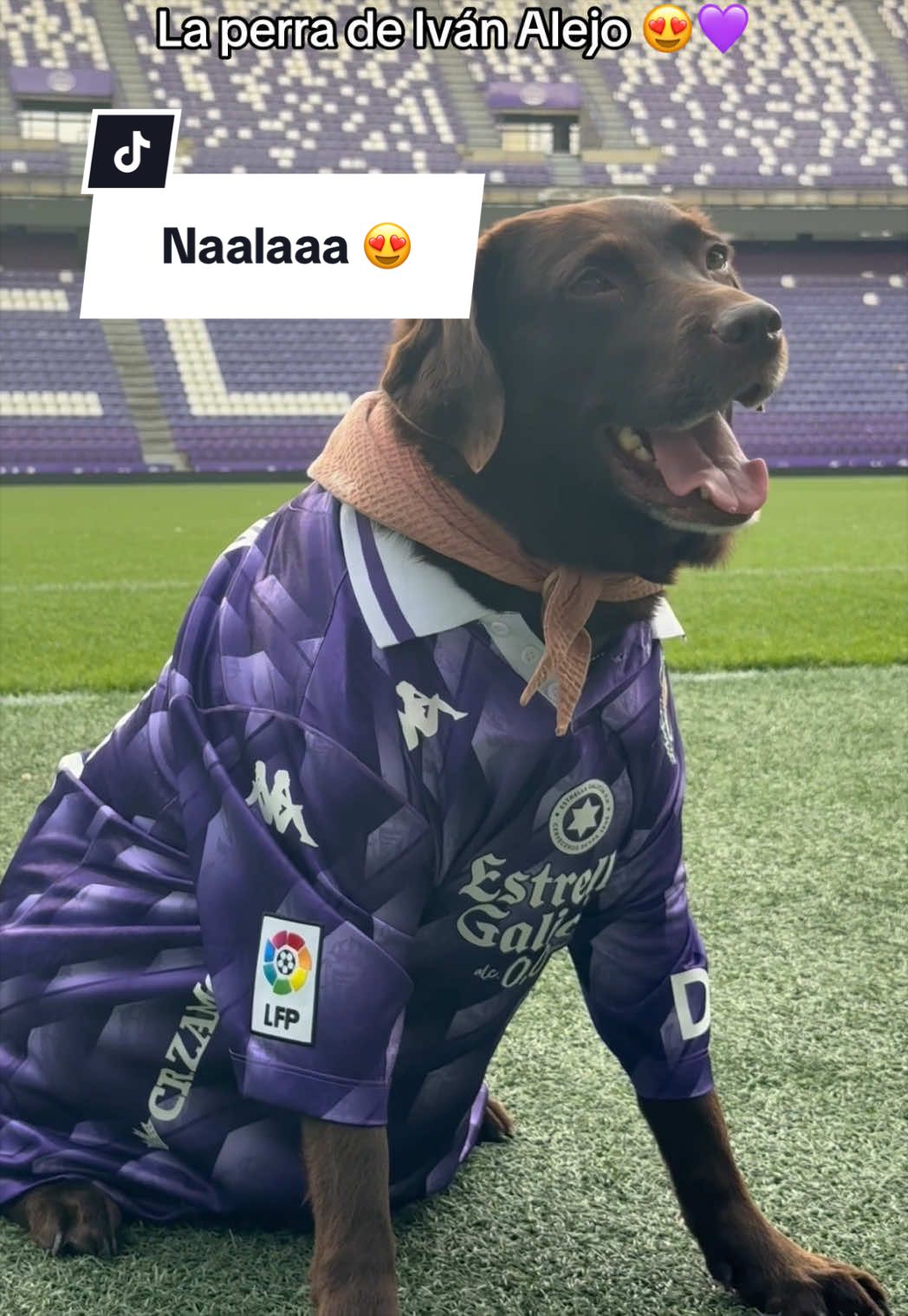 @Real Valladolid