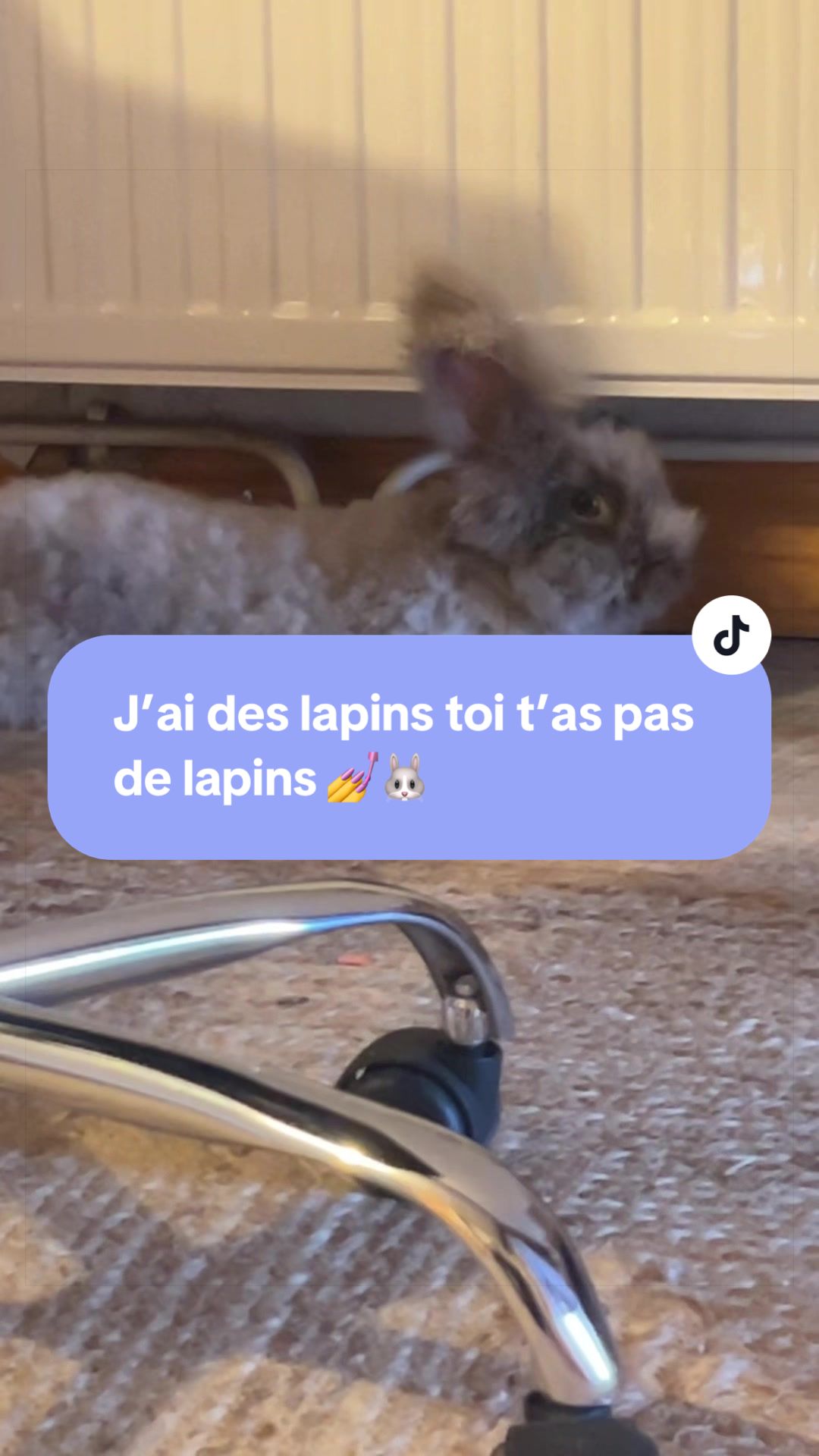 @Mes lapinouchs 🐰