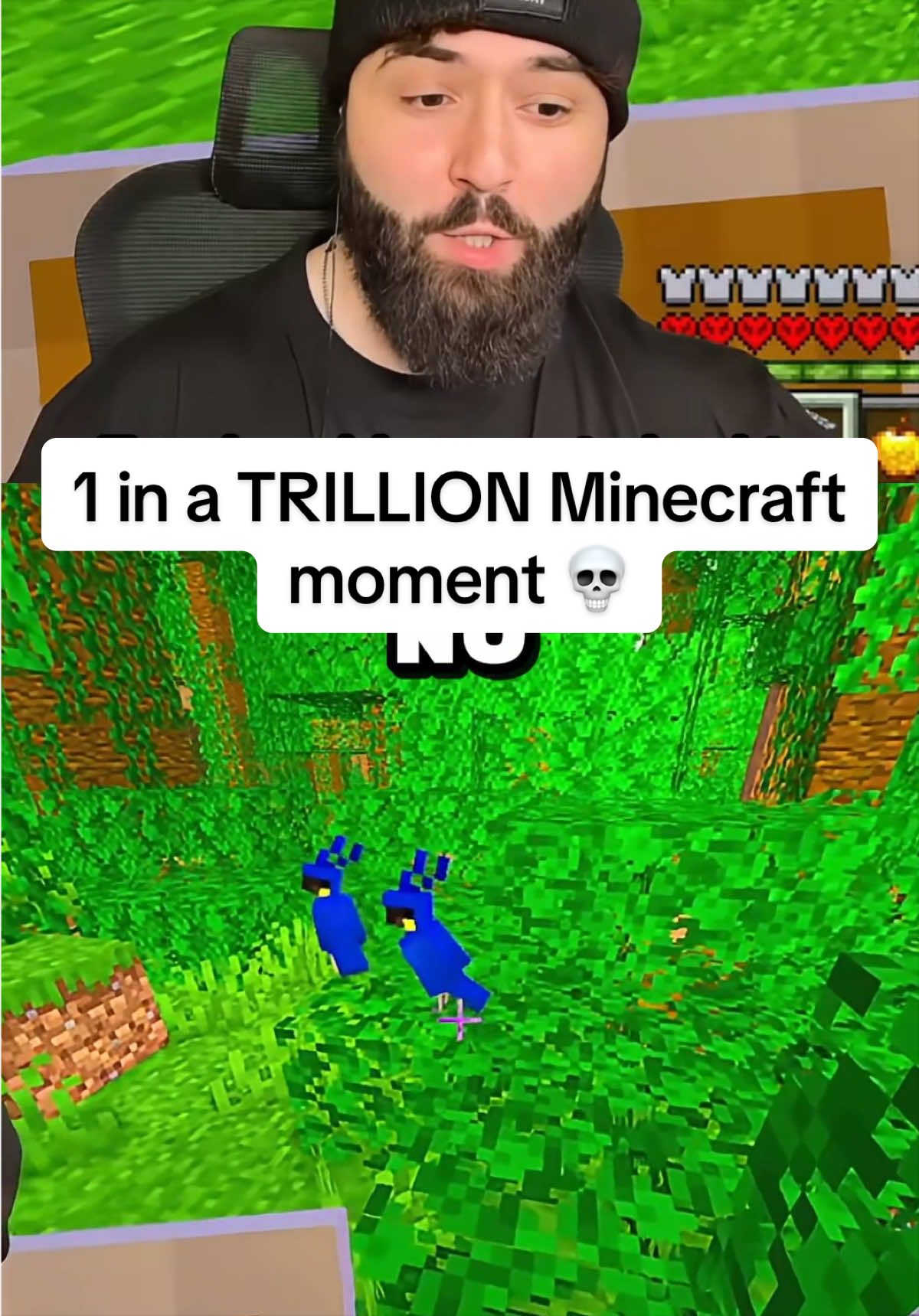 @Sxzxr