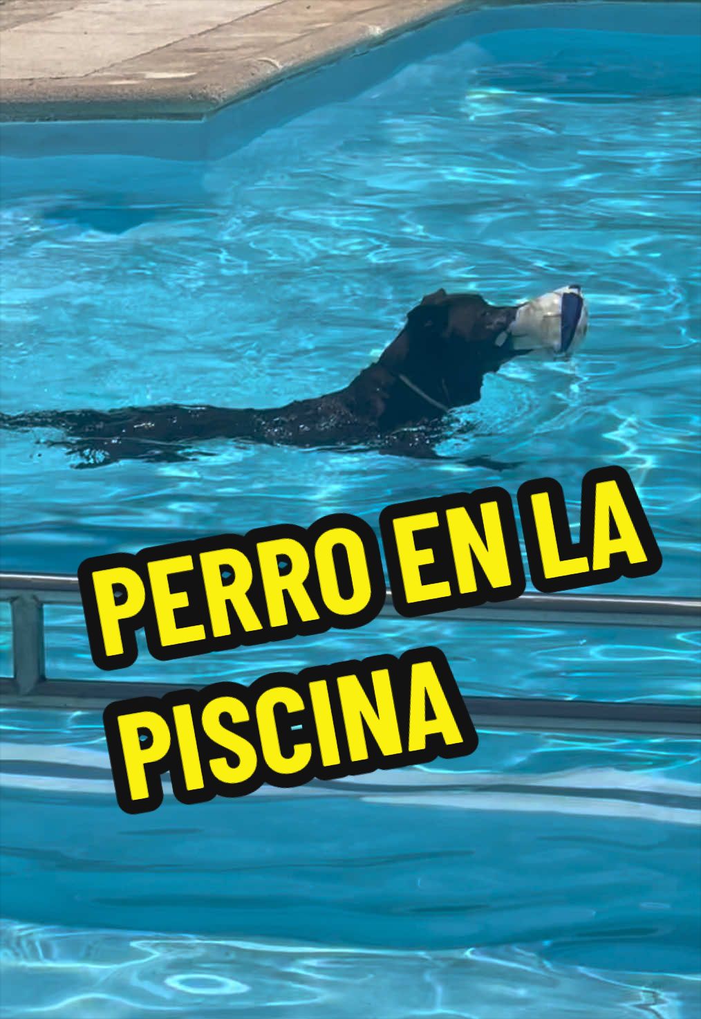 @Spanish_Giacomino