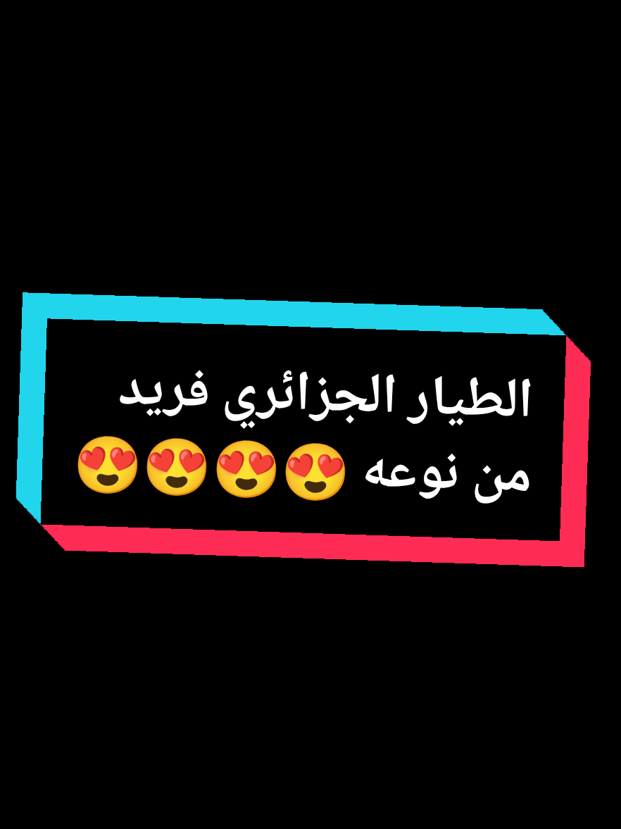 @A.M DZ