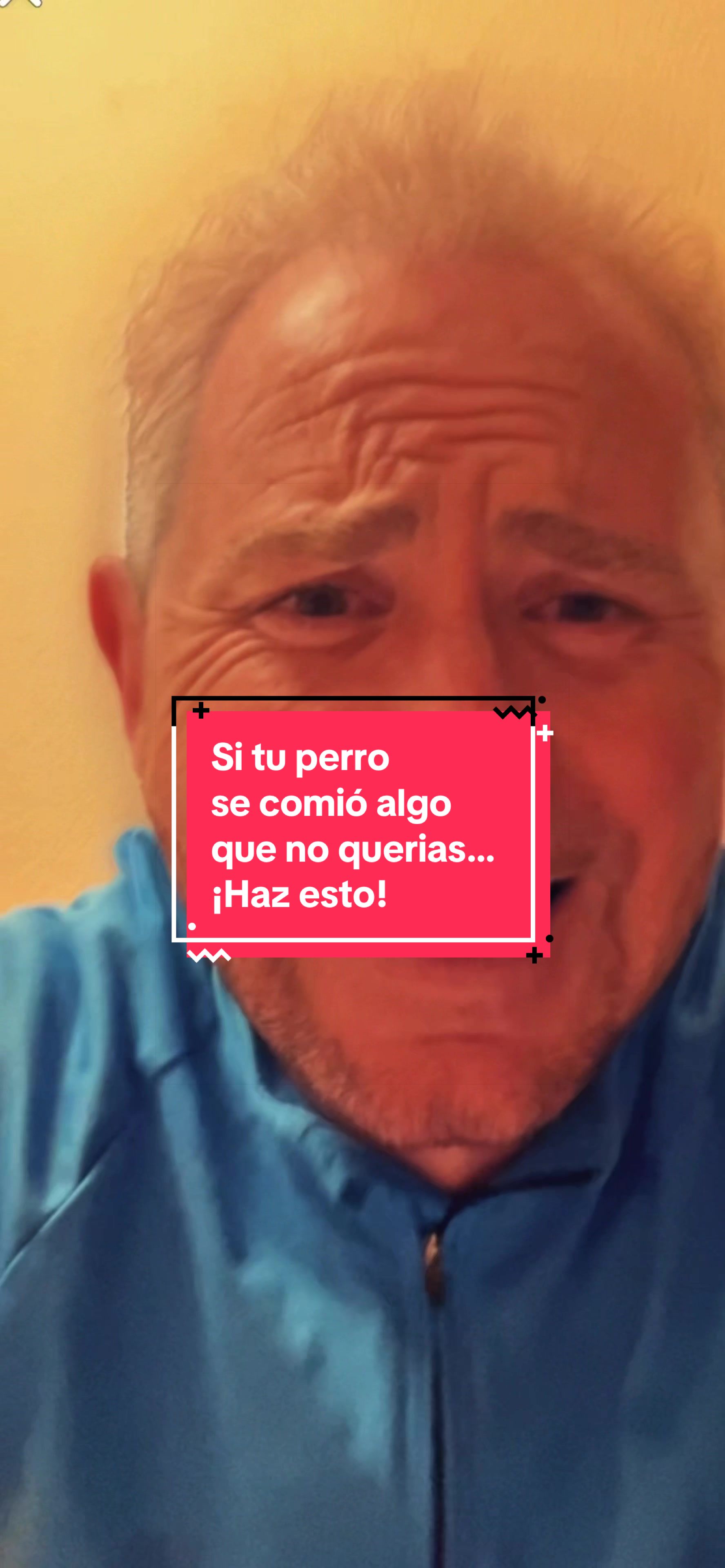 @adican_adiestradorcanino